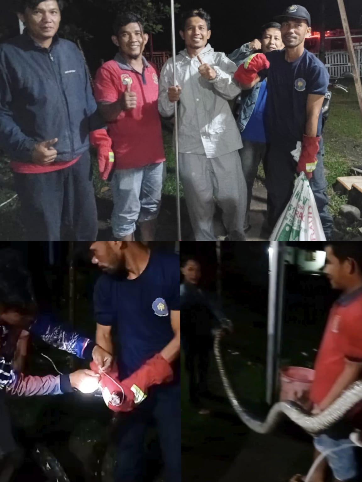 Ular Besar Masuk Rumah Warga 
